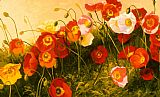 Shirley Novak Famous Paintings - Poppies In Celebration